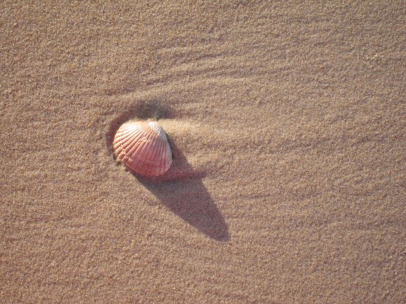 Anmeldung Spirituelles Coaching