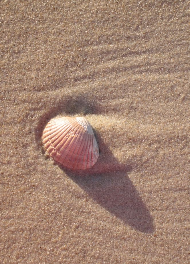 Spirituelles Coaching_MENSCH individuell